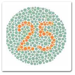 Color Vision Test