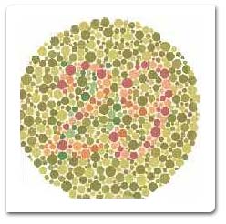 Color Vision Test