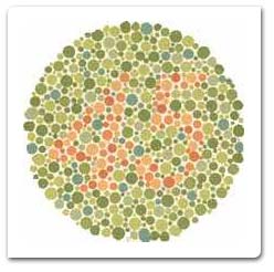 Color Vision Test