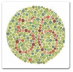 Color Vision Test