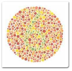Color Vision Test